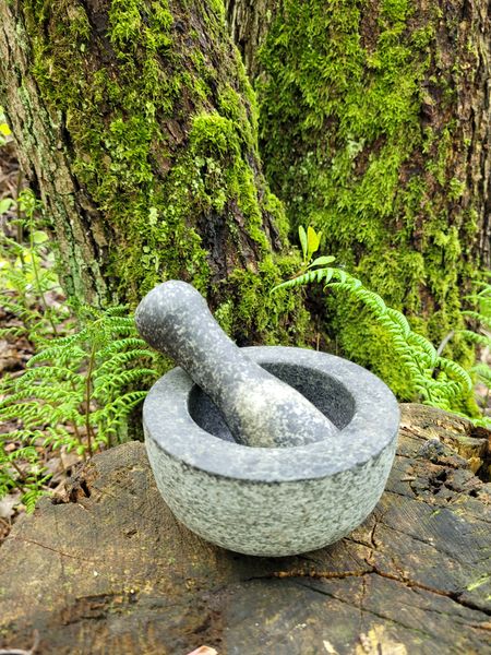 anthroposophische Medizin